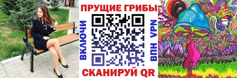 Галлюциногенные грибы Psilocybe  Бор 