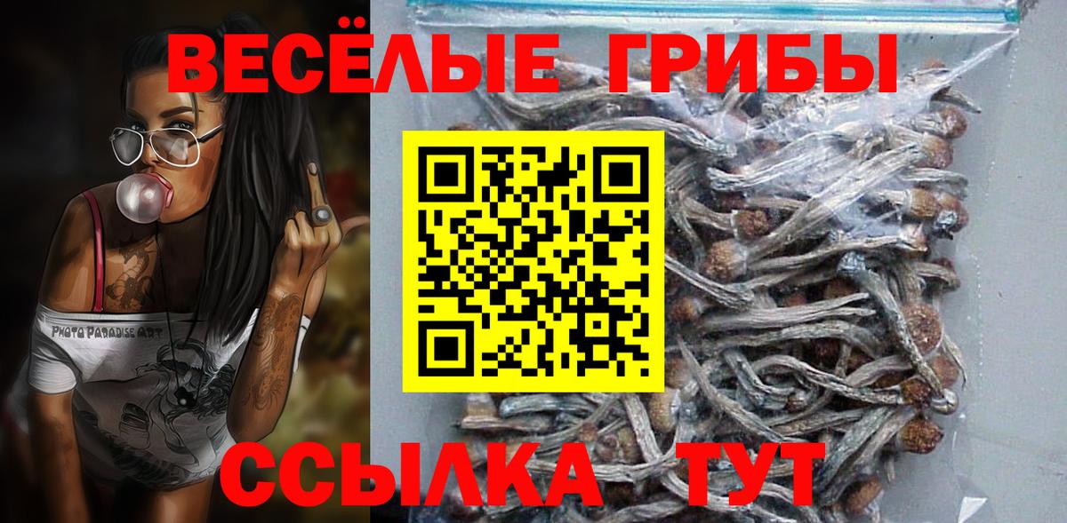 Галлюциногенные грибы ЛСД  Галлюциногенные грибы Psilocybine cubensis  Вход с VPN  Бор 