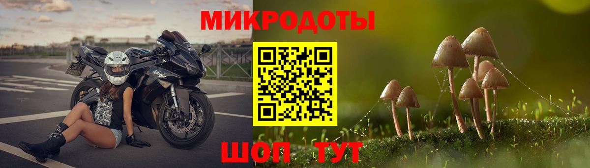Галлюциногенные грибы прущие грибы Бор
