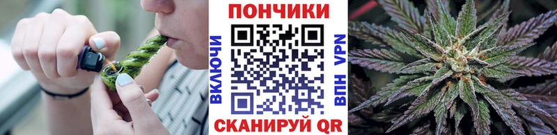 продажа наркотиков  Бор  ссылка на мегу как войти  Бошки марихуана VHQ 